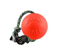 Jolly PetsRomp-N-Roll Palla per Cani (TL5161)
