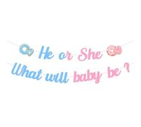 Jollyboom Donut Gender Reveal Decorations, He or She What Will Baby Be Banner for We Donut Know Welcome Baby Shower Gravidanza Gift Party