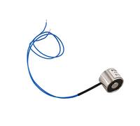 Jolsaawie Sucked - Elettromagnete elettrico di sollevamento 12VDC 2,5 kg, 20 x 15 mm