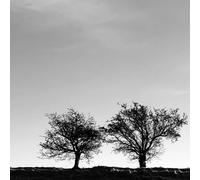 Jon Allen A Heightened Sense of Everything (CD) Album