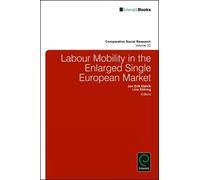 Jon Erik Dølvik Labour Mobility in the Enlarged Single Europe (Copertina rigida)