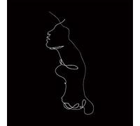 Jon Gomm The Faintest Idea (Vinyl LP) 12" Album