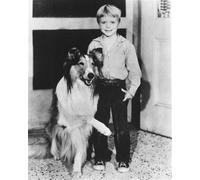 Jon Provost Come Timmy Martin Da La Poster Stampa 24x20"