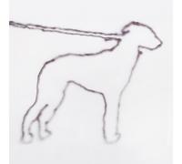 Jonah Yano Portrait of a Dog (CD) Album Digipak