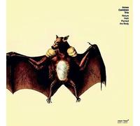 Jonas Cambien Trio Nature Hath Painted The Body (CD)