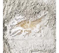 Jonathan Kawchuk - Everywhen