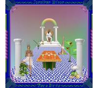 Jonathan Wilson Rare Birds (CD) Album