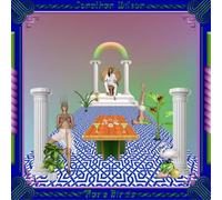 Jonathan Wilson Rare Birds (Vinyl LP) 12" Album Box Set