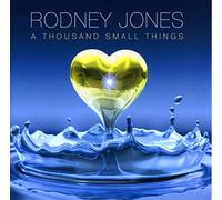 Jones, Rodney - Thousand Small Things