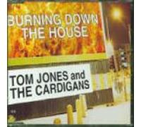 Jones, Tom & The Cardigans - Burning Down the House