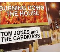 Jones,Tom & the Cardigans - Burning Down the House [6 Trac
