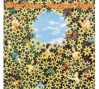 Jones,Wizz - Magical Flight (US Import)