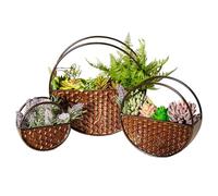 JonesHouseDeco Set di 3 vasi da parete in metallo Bronzo Antico, Forma a Nido d'ape, Contenitore Per Piante Grasse, Paesaggio Artificiale Decorazione Della Parete, Rotondi