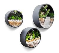 JonesHouseDeco Set di 3 vasi da parete rotondi in metallo, Contenitore Terrario Per Piante Grasse, Fiori Artificiali, Supporto verticale per piante, decorazione della parete, Grigio 10.2cm Spessore