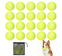 Jonuin 20 Pezzi Mini Palline da Tennis per Cani, 6,3 cm/2,5" Palla da Tennis Gialla con Borsa a Rete, Palline Tennis perIl Tempo Libero, L'allenamento Avanzato, Bambini Principianti, Adulti e Cani