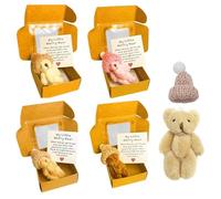 Jonuin 4 pezzi Pocket Bear Hug, My Little Worry Bear, Orsetto Tascabile, Peluche Orso in Scatola, Mini Peluche, Orsetto Divertente per Baby Shower, Donne, Studenti, Amici (4 Colori)