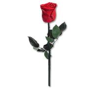 Joollurm eterni regali di rose rosse per le donn
