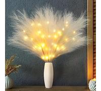 Joomer 3PZ 70CM Erba Della Pampas, Artificiale di Pampas Fiori Secchi Decorativi Alti Piume Decorative Lunghe Beige Pampas Secca Grande per Matrimonio Feste di Nozze Soggiorno Arredamento Boho(Beige)