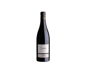 José Antonio García Viticultor Corullón Vino de Villa 2024