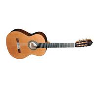 Jose Torres jtc-75