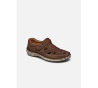 Josef Seibel - Anvers 81 Marrone - Scarpe con gli strappi 42 Marrone