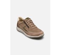 Josef Seibel - Enrico 33 Beige - Sneakers 43 Beige