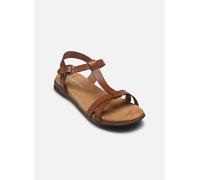 Josef Seibel - Fabricia 01 Marrone - Sandali e scarpe aperte 36 Marrone