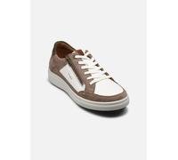 Josef Seibel - Maddox 07 Beige - Sneakers 43 Beige