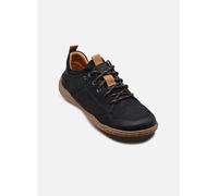 Josef Seibel - Wallace 02 Blu - Sneakers 43 Blu