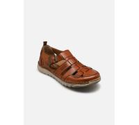 Josef Seibel - Wilson 08 Marrone - Sandali e scarpe aperte 41 Marrone