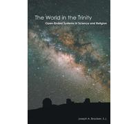 Joseph A. Bracken S.J. The World in the Trinity (Tascabile)