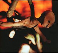 Arthur, Joseph - Redemption's Son