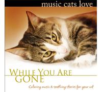 Joseph, Bradley - Music Cats Love: While You Are Gone