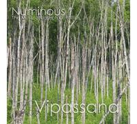 Joseph C. Phillips Vipassana (CD)