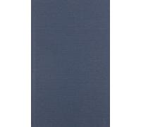 Joseph Childers The Columbia Dictionary of Modern Literary an (Copertina rigida)