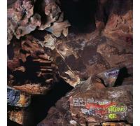 Joseph Decosimo - Beehive Cathedral [VINYL]