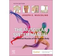 Joseph E. Muscolino The Muscular System Manual (Tascabile)