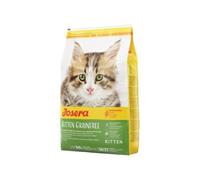 JOSERA Kitten Grainfree (1 x 10 kg), cibo per gatti senza cereali con olio di salmone, cibo secco super premium per gatti in crescita, confezione da 1