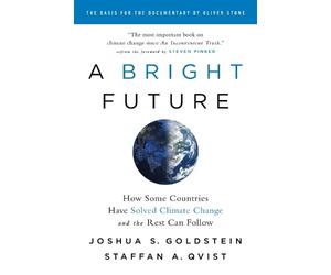 Joshua S. Goldstein A Bright Future (Tascabile)