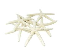 Joskeijky 12 Pz di Mare A Dito 5-10Cm Di Mare Decorativa A Cinque