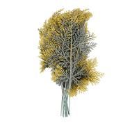 Joskeijky 20 Pezzi Fili di Cedro Artificiali Rami di PulveRising di Cedro Falso Stelo Ramoscello di Cedro Fili Picchi Accessori fai da te