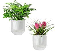 Josteve Vasi per piante autoirriganti per interni, 11,8 cm, confezione da 2, in plastica, per orchidee, piante da giardino, per erbe, piante da appartamento, violette africane, fioriera visibile a