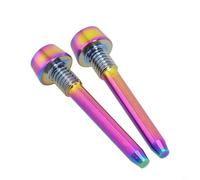 Jotekonoby Per Magura Mountain Bic 2 pz Lega per Pastiglia Freno Bici Perno di Fissaggio per Mt2 Mt4 Mt5 Mt6 Mt8 Pinza Freno a Disco Bullone Asse con Compatibile (per Rainbow)