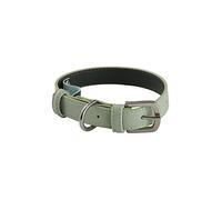 Jotex Inu - Collare per cani e gatti, colore: Verde