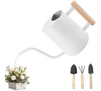 JOTOL Annaffiatoio 1L,Annaffiatoio Piccolo in Acciaio Inox con Beccuccio Lungo e Attrezzi da Giardinaggio,Annaffiatoio per Piante da Interno,Innaffiatoio per Casa,Piante,Bonsai All'aperto,Fiori
