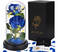 JOTOLa Bella e La Bestia Rosa Eterna, con Luce a LED con 1 Carta,Base Rimovibile,Romantico Kit di Rose per Il San Valentino Anniversario
