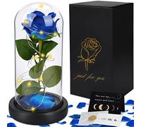 JOTOLa Bella e La Bestia Rose,La Bella e La Bestia Rosa Eterna,Kit di Rose,Rosa Stabilizzata,Cupola di Vetro con Base Rimovibile Pino Luci LED,Regali per Donne,San Valentino,Anniversario