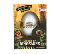 Jouet-Plus Jouetprive A'uf di crescita Dinosauro, modello casuale 35114Z