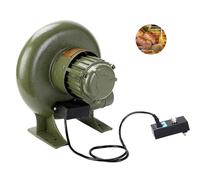 JOUFNING Soffiatore Centrifugo per Barbecue, Soffiatore d'Aria Commerciale Compatto Ed Efficiente dal Punto di Vista Energetico, Ventilatore con Pompa E Soffiatore per Impieghi Gravosi(250W)