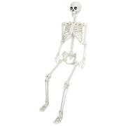 joukares Scheletro di Halloween da 5,4 piedi, dimensione di vita realistica, ossa da 165 cm, con articolazioni mobili per casa spaventosa, feste, giardino, interni, Halloween decorazione A